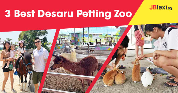 Best Desaru Petting Zoo
